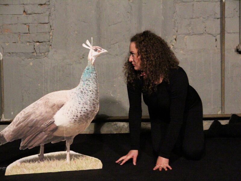 475163276_1096116982293312_1313196436249986133_n