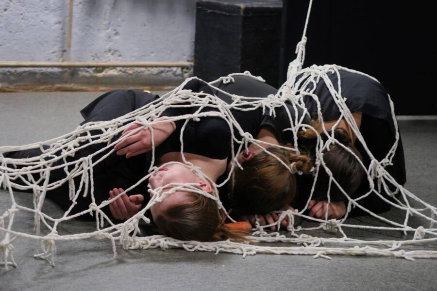 photo_2025-12-30_11-12-47 (2)